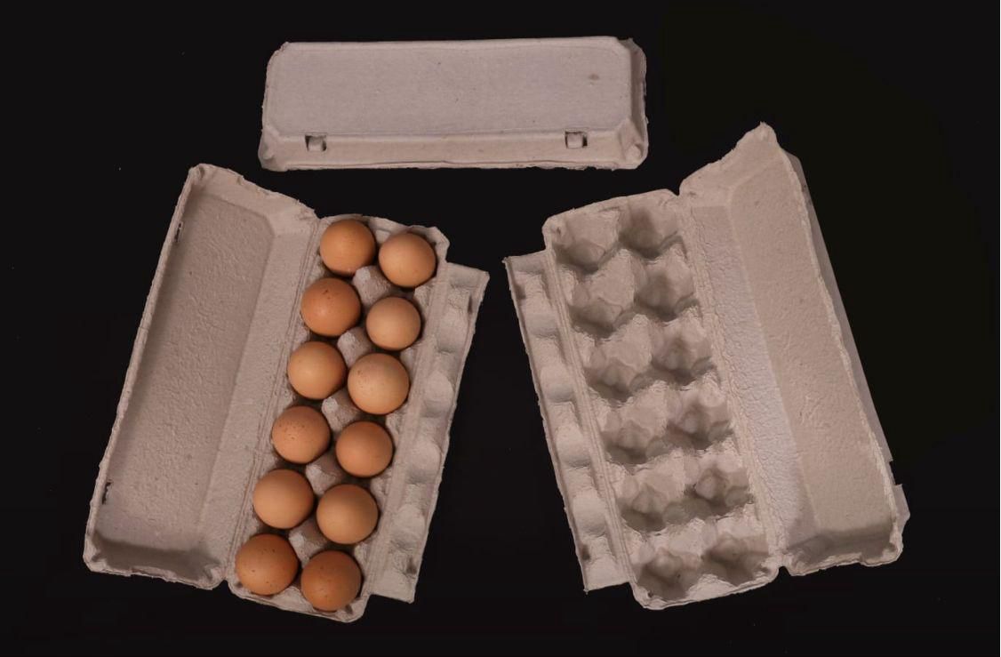 Customized Paper Moulded Packaging for Eggs